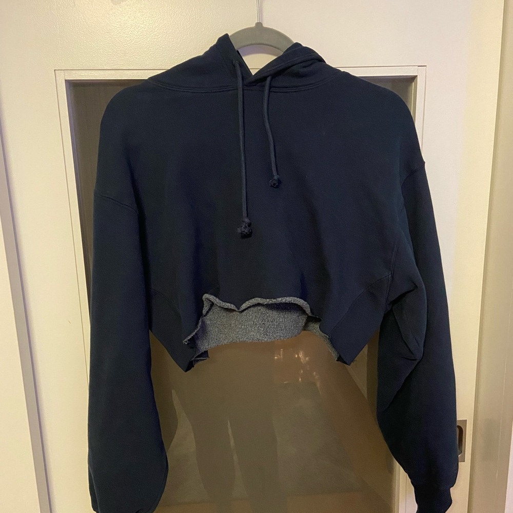 Aritzia Cropped Hoodie